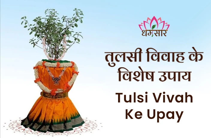 Tulsi Vivah Ke Upay: तुलसी विवाह पर आजमाएं ये उपाय, दूर भागेगी आर्थिक और विवाह संबंधी समस्याएं!