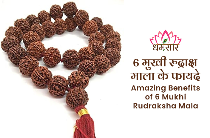 6 Mukhi Rudraksha Mala ke Fayde:इस सावन में पहने ये छह मुखी रुद्राक्ष माला चमक उठेंगी किस्मत,जानें इसके फायदे
