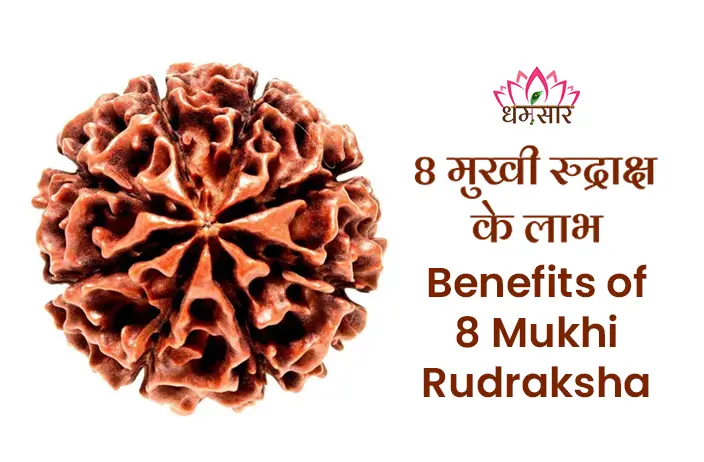 Benefits of 8 Mukhi Rudraksha: स्वास्थ्य, आत्मविश्वास और व्यापार में उन्नति के लिए चमत्कारी 8 मुखी रुद्राक्ष!