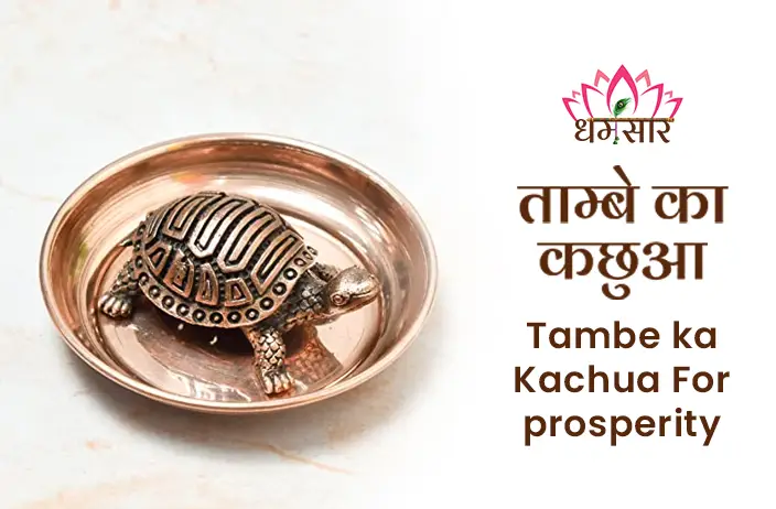 Tambe ka Kachua for Home : घर में ताम्बे के कछुए को रखने से आती है धन- सम्पदा, जाने इसकी सही दिशा व लाभ 