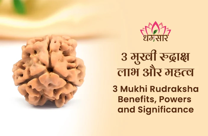 3 Mukhi Rudraksha Benefits and Significance: किस राशि के लिए शुभ है 3 मुखी रुद्राक्ष? जानें लाभ, महत्व और 3 मुखी रुद्राक्ष पहनने के नियम!