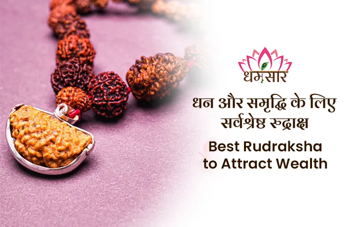Best Rudraksha to Attract Money : कौन से रुद्राक्ष बनाएंगे धनवान? जानिए इन रुद्राक्ष के चमत्कारी उपाय व महत्व