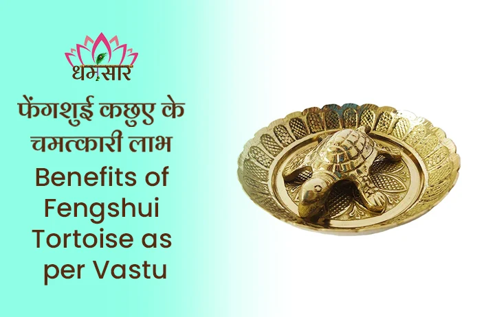 Feng Shui Tortoise: धन और भाग्य को आकर्षित करने के लिए असरदार है कछुआ, जानें चमत्कारी लाभ व महत्व
