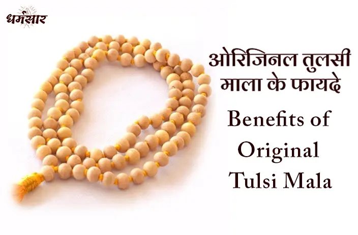 Benefits of Original Tulsi Mala: जानें तुलसी माला के लाभ, महत्व और इसे धारण करने के नियम