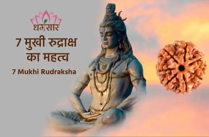 7 Mukhi Rudraksha Benefits: जानिए 7 मुखी रुद्राक्ष का महत्व, फायदे और स्वास्थ्य संबंधी लाभ!