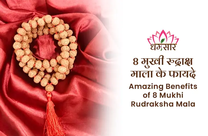 8 Mukhi Rudraksha ke Fayde : बिज़नेस में नहीं मिल रही सफलता तो धारण करें ये आठ मुखी रुद्राक्ष सफलताएं कदम चूमेगी।