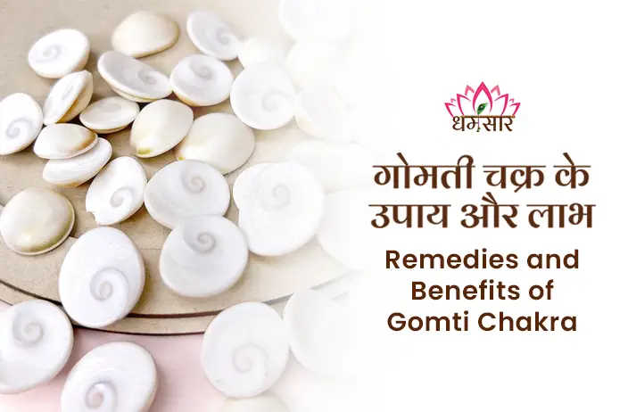 Gomati Chakra ke upay: दिवाली पर गोमती चक्र से होंगे बेहद चमत्कारी धन लाभ, लक्ष्मी पूजन के दौरान ऐसे करें प्रयोग!