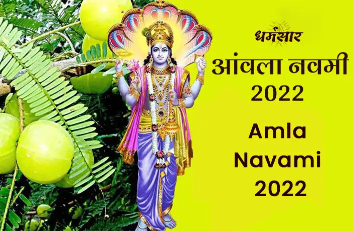 Amla Navami 2022: क्यों रखा जाता है आंवला नवमी व्रत? जानें पौराणिक कथा और महत्व
