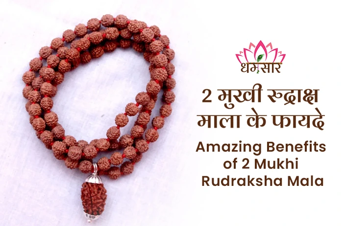 2 Mukhi Rudraksha Mala ke Fayde :इस 2 मुखी रुद्राक्ष माला पहनने के है कई फायदे, पढ़े इस लेख को 