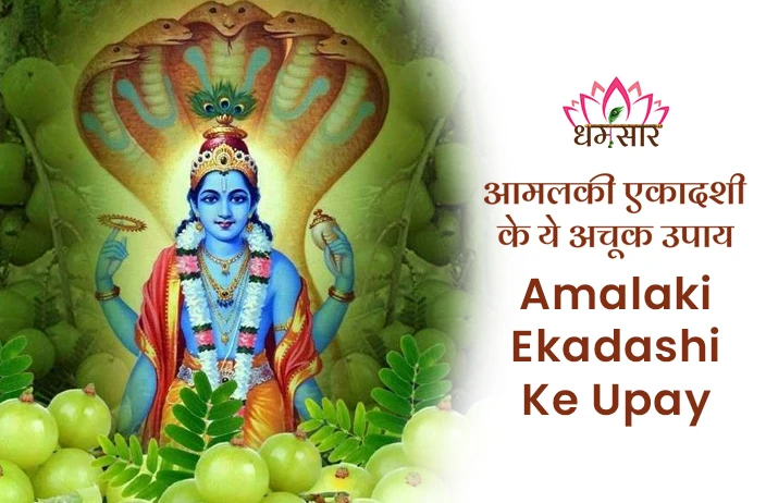 Amalaki Ekadashi 2025 Upay: धन, संतान सुख और आर्थिक समृद्धि के लिए अपनाएं ये सरल उपाय, बरसेगी भगवान विष्णु की कृपा!