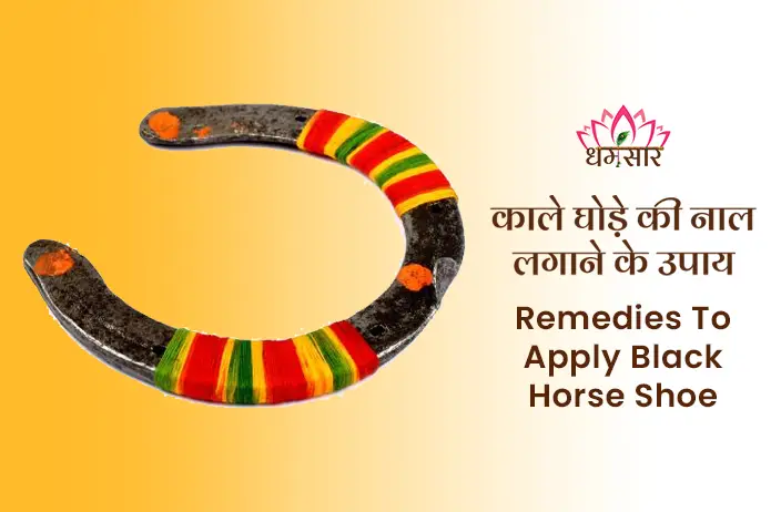 Ghode ki Naal ke Upay: घर में लगाए ये काले घोड़े की नाल चमक उठेगी किस्मत, बरसेगा पैसा ही पैसा 