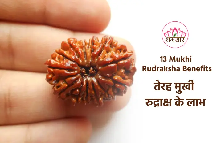 13 Mukhi Rudraksha Benefits:  जानिए 13 मुखी रुद्राक्ष पहनने के प्रभावशाली लाभ व धार्मिक महत्व!
