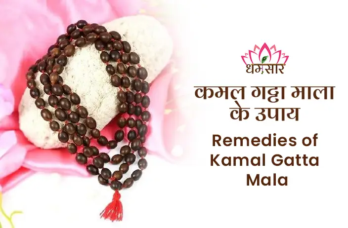 Kamal Gatta Mala ke Upay- आपके सभी सपनों को साकार कर देगी ये कमल गट्टा माला, जाने अद्भुत फायदे 