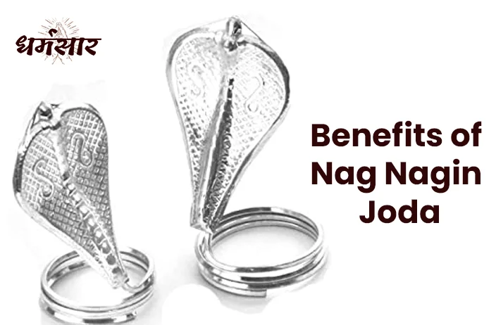 Benefits of Nag Nagin Joda: जानें चांदी से बने नाग-नागिन जोड़े के लाभ और महत्व