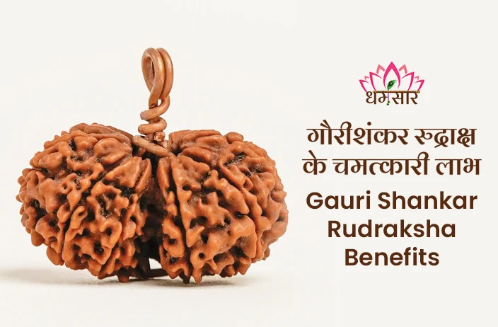Gauri Shankar Rudraksha Benefits:दांपत्य सुख और आर्थिक समृद्धि के लिए धारण करें गौरी शंकर रुद्राक्ष, यहां जानें अद्भुत लाभ!