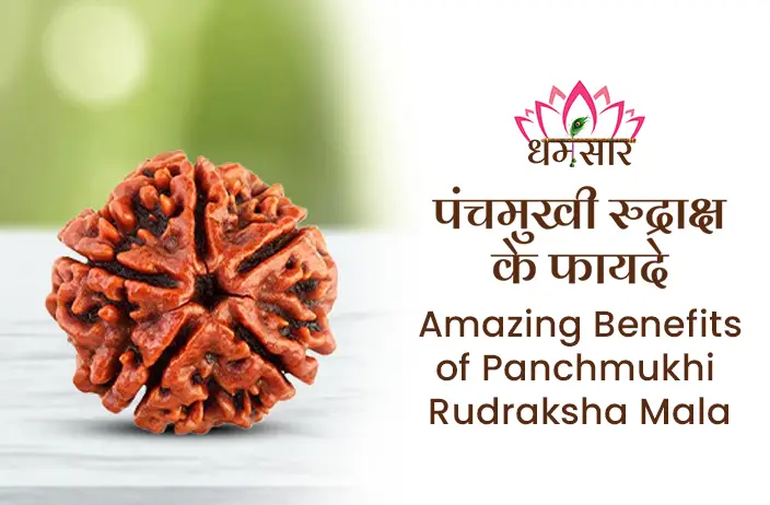 Panchmukhi Rudraksha Mala ke Fayde -कौन सा रुद्राक्ष होता है सबसे भाग्यशाली है?जाने यहाँ 