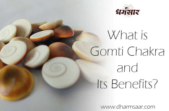 क्या है गोमती चक्र और कैसे करें उसका उपयोग? What is Gomti Chakra and How to Use It?