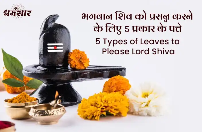 5 types of leaves to please Lord Shiva: मनोवांछित फल की प्राप्ति के लिए भगवान शिव को चढ़ाएं ये 5 प्रकार के पत्ते
