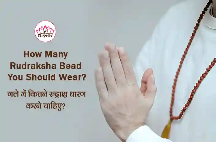 Rudraksha Bead Significance : रुद्राक्ष माला में कितने मनके पहनना है सबसे श्रेष्ठ? जानें सही संख्या और जरूरी नियम!