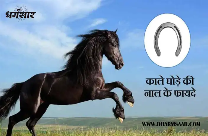 छोटे उपाए जिससे घोड़े की रफ्तार से दौड़ेगा व्यापार और होगी सौभाग्य में वृद्धि | Black Horseshoe Benefits