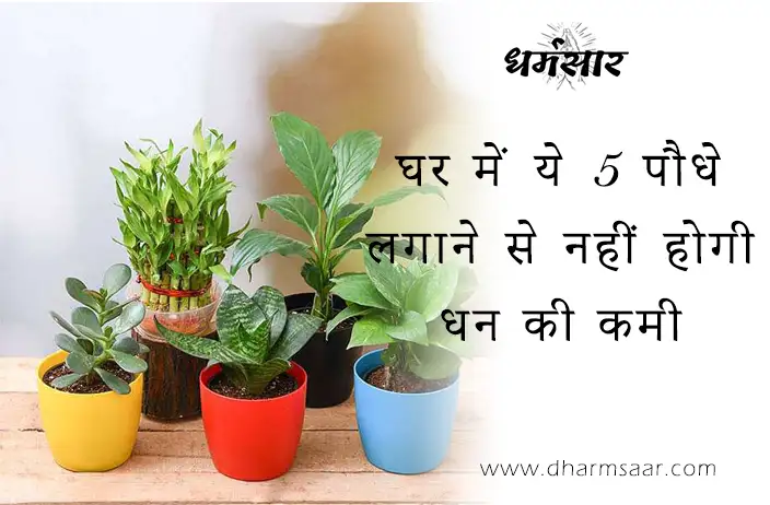घर में ये 5 पौधे लगाने से नहीं होगी धन की कमी | Wealth Bringing Plants for Home