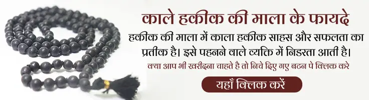 festival inner pages top