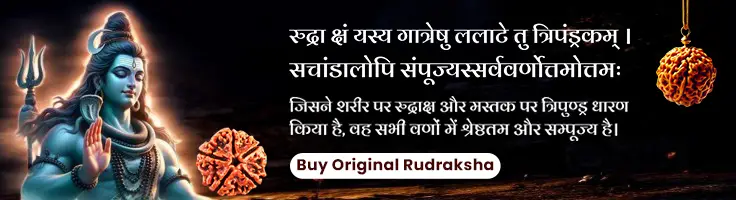 pasandeeda front top