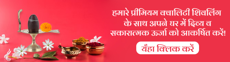 dainaik panchang inner pages  top