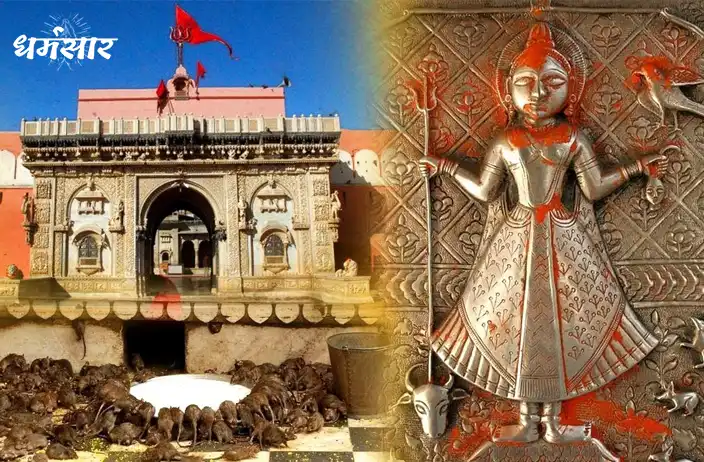 Shri Karni Mata Temple, Deshnok, Rajasthan Live Darshan | श्री करणी माता मंदिर देशनोक, राजस्थान लाइव दर्शन