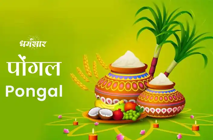 Pongal Festival 2023 | History, Significance & More | पोंगल 2023