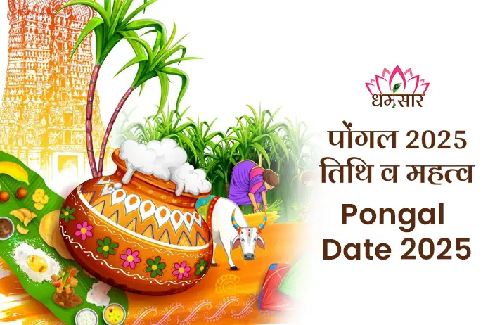 Pongal Date 2025 | पोंगल 2025 | जानें कैसे और क्यों मनाया जाता है पोंगल का यह पर्व!